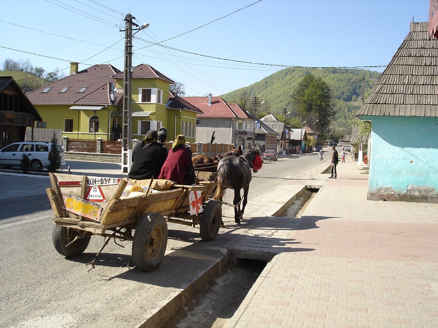 DSC04823 Практически у каждой повозки здесь есть свой номер